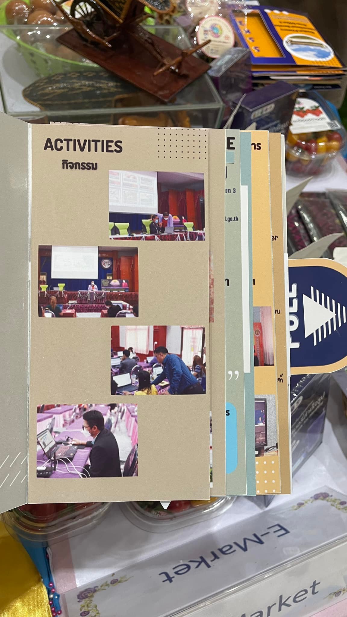 ภาพที่ 11